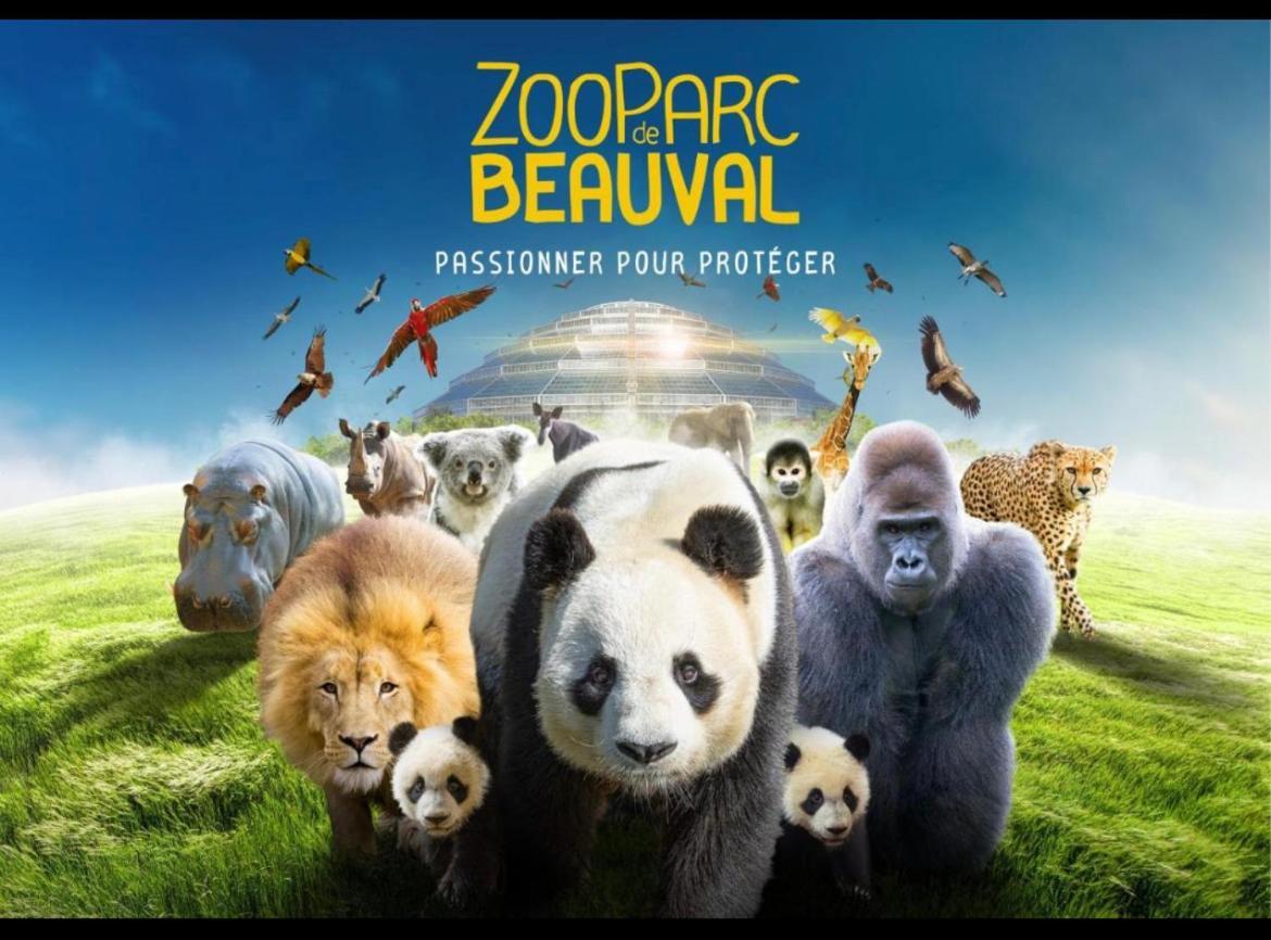 Vila Studio & Gite Zen De Beauval- 800 M Du Zooparc Seigy Exteriér fotografie